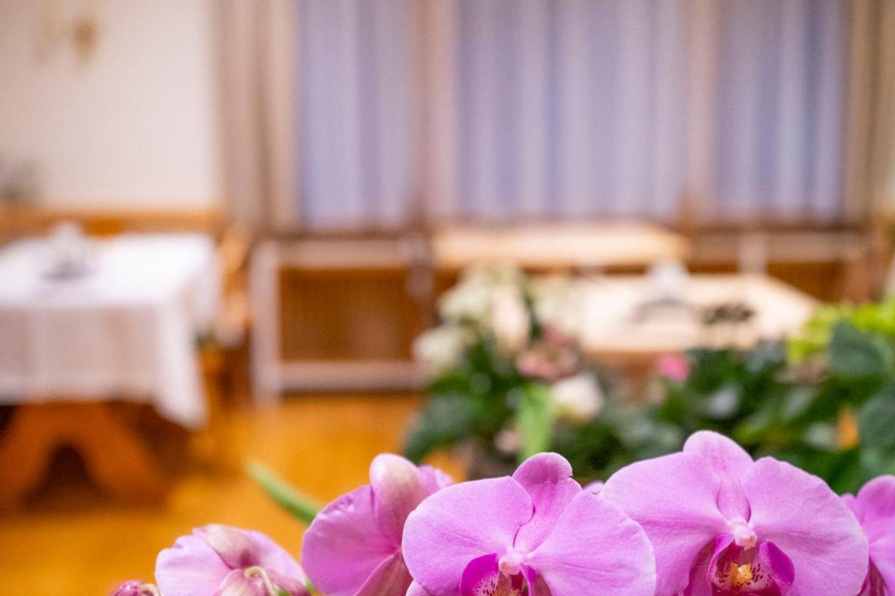 Naturion Hotel Hinterzarten Dış mekan fotoğraf