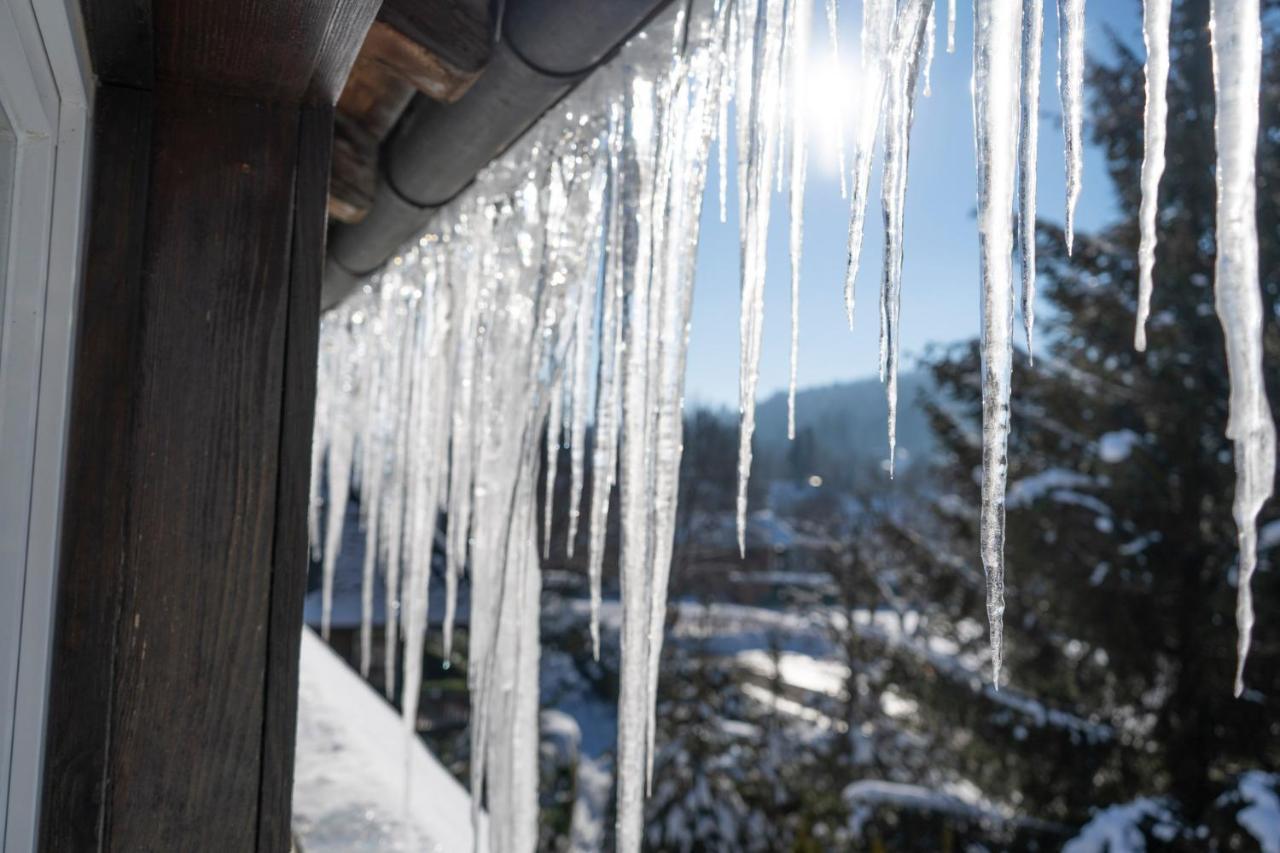 Naturion Hotel Hinterzarten Dış mekan fotoğraf